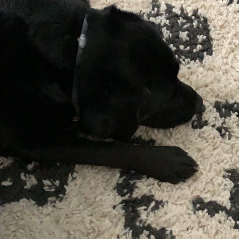 Meet your Posher, Jacquelyn